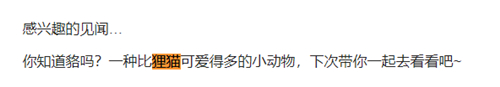 原神猫与狸猫的区别 原神早柚的动物形象是狸猫还是貉