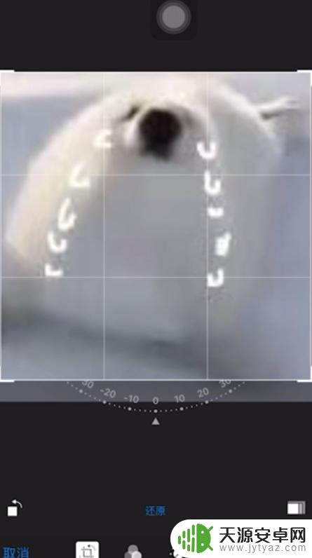 苹果手机相片编辑如何剪切 苹果手机照片裁剪教程
