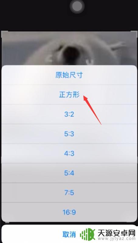 苹果手机相片编辑如何剪切 苹果手机照片裁剪教程
