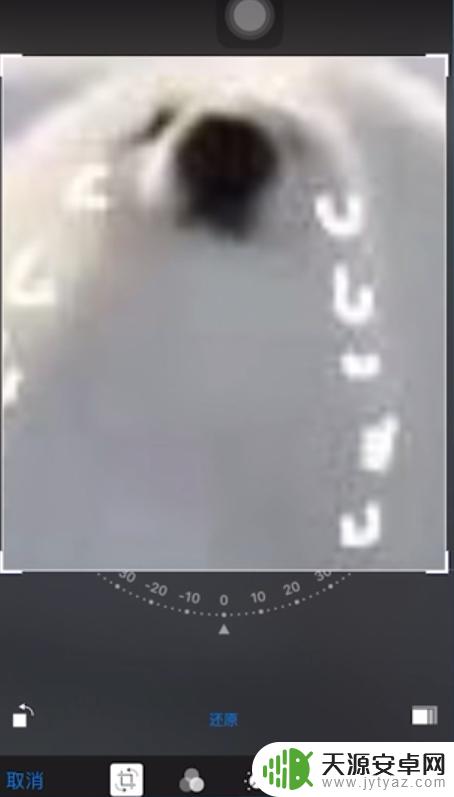 苹果手机相片编辑如何剪切 苹果手机照片裁剪教程