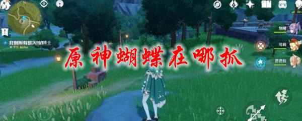 原神哪里有蝴蝶 原神蝴蝶在哪里抓取