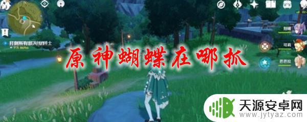 蝴蝶哪里抓原神 原神蝴蝶在哪里能找到