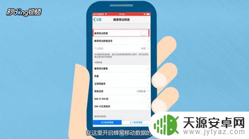 苹果手机怎么快速获得流量 iPhone手机的数据流量打开方法