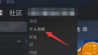 steam怎么将游戏详情设置成公开 steam资料公开设置方法