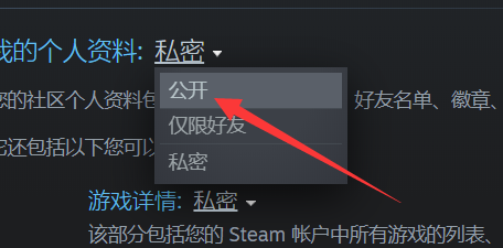 steam怎么将游戏详情设置成公开 steam资料公开设置方法