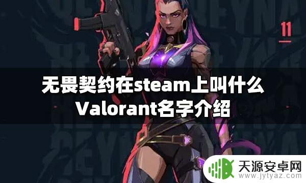 无畏契约steam名字 无畏契约steam上叫什么游戏