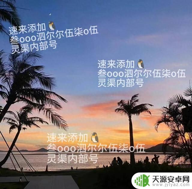 西普大陆游戏全面攻略