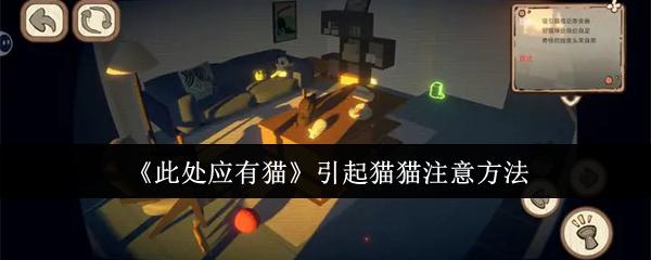 此处应有猫如何攻击 《此处应有猫》怎么吸引猫猫