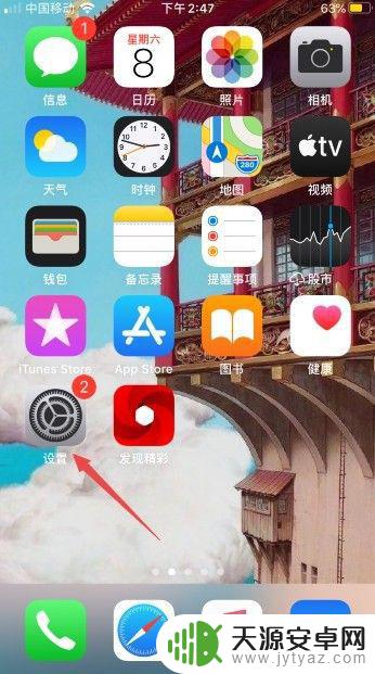 苹果手机隐私设置不显示程序 iPhone隐私设置不显示应用怎么办