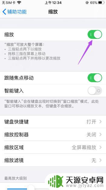 iphone屏幕缩放功能怎么用 iPhone如何开启屏幕缩放功能