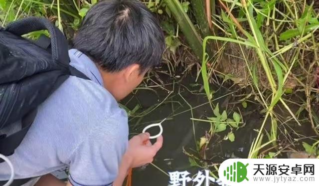 黄鳝能长多大？江苏男子“打野”捉到巨型黄鳝，比大腿还粗