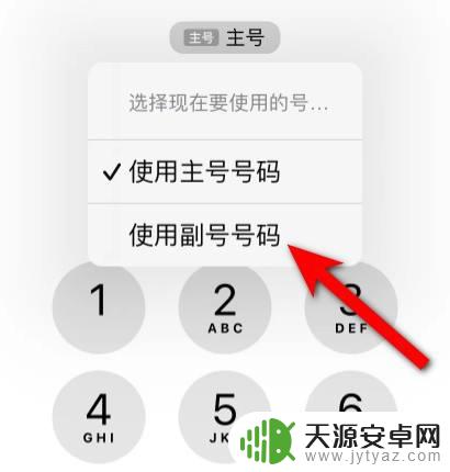 苹果手机怎么设置主号和副号打电话 如何在苹果手机上切换主副号