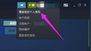 steam怎么通过用户名查找 Steam如何查看已使用的用户名