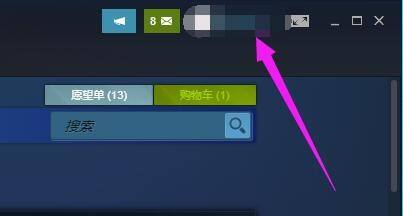 steam怎么通过用户名查找 Steam如何查看已使用的用户名