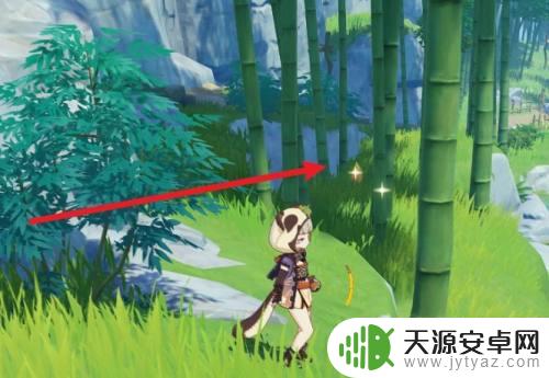 原神竹笋采集地点 原神竹笋采集点位置