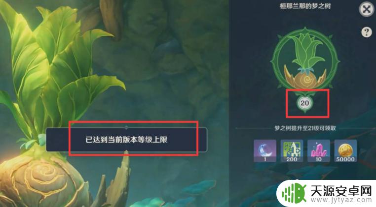 原神梦之树目前最高多少级 原神3.0版本梦之树的最高等级是多少