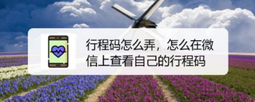 手机下载行程码图片好下不? 行程码获取方式