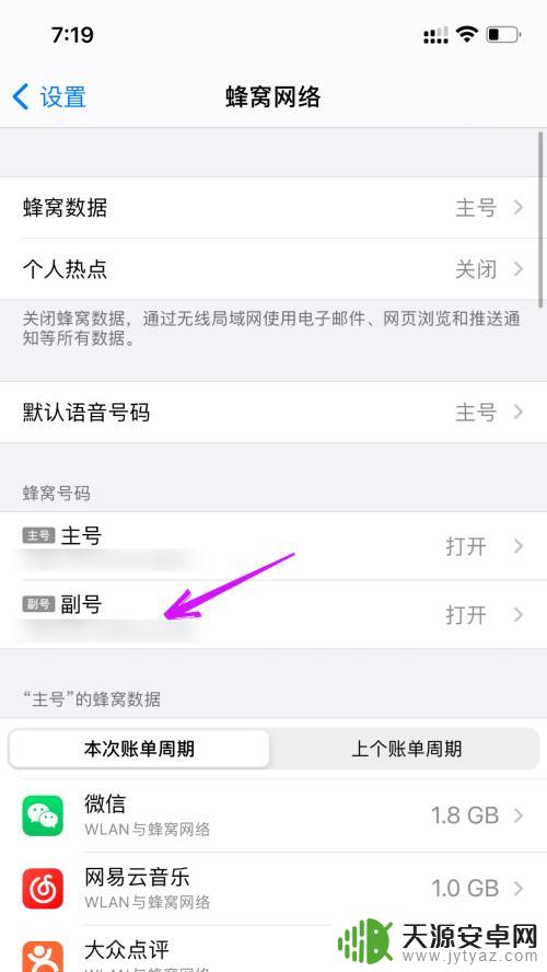 苹果的卡2如何关闭手机 iphone双卡关闭一个卡的方法