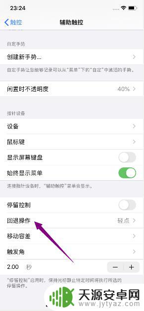 苹果手机如何轻点回退 如何将iPhone11回退操作设置成轻点