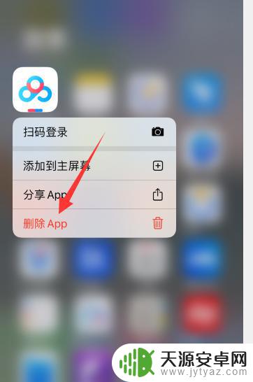 苹果手机卸载app点成了从主屏幕删除 iOS从主屏幕移除的应用怎么删除