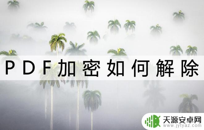 pdf加密手机如何解除 手机上如何解除PDF加密