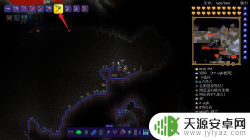 泰拉瑞亚怎么摸动物眼睛 泰拉瑞亚抓动物的步骤