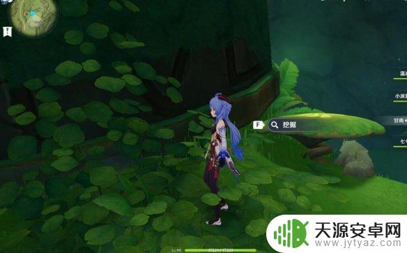 原神须弥静态风景后篇怎么触发 《原神》静态风景任务攻略流程