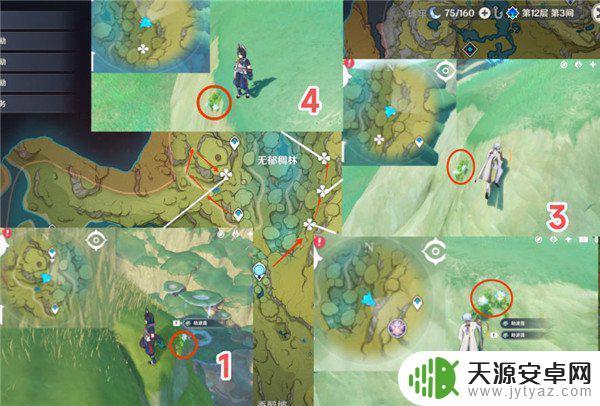 原神杰波莲 原神劫波莲采集路线76个点位分享