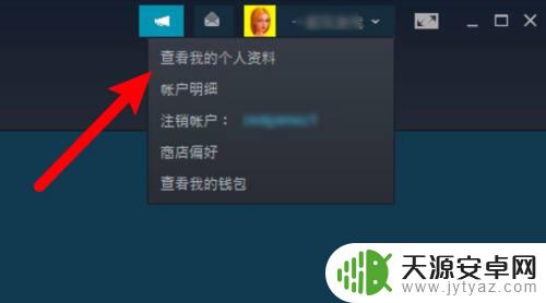 steam的个人设置在哪里 如何在Steam中设置个人隐私