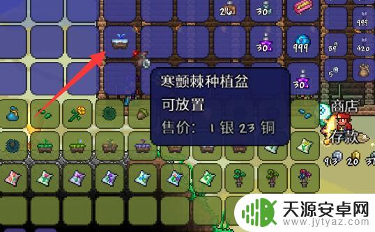 泰拉瑞亚植盆怎么收集 泰拉瑞亚如何获得种植盆