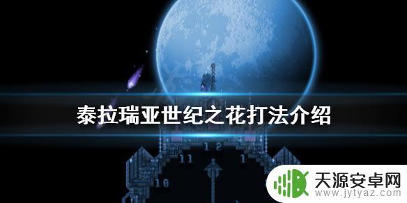 花后怎么打泰拉瑞亚 《泰拉瑞亚》世纪之花召唤方法