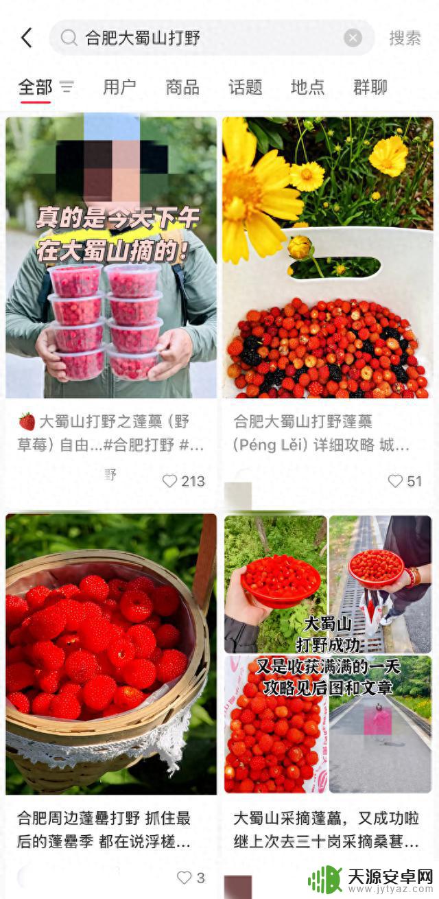 市民在大蜀山“打野”现象增多?公园表示违规且不安全