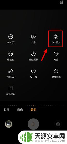 vivo的动态照片怎么拍 vivo动态照片如何拍摄