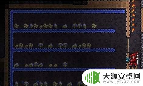 泰拉瑞亚农场如何建造 泰拉瑞亚terraria 种植攻略