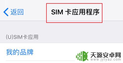 苹果手机一直弹出运营商欢迎界面 iPhone运营商弹窗如何解决