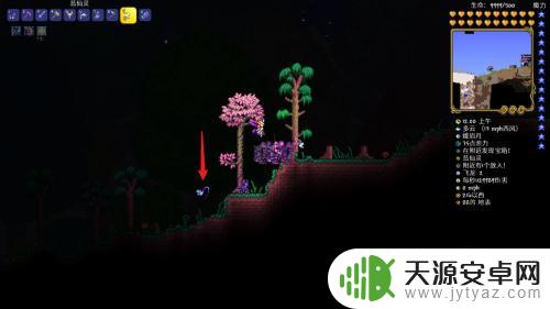 泰拉瑞亚蓝精灵怎么捕捉 泰拉瑞亚蓝精灵抓取步骤
