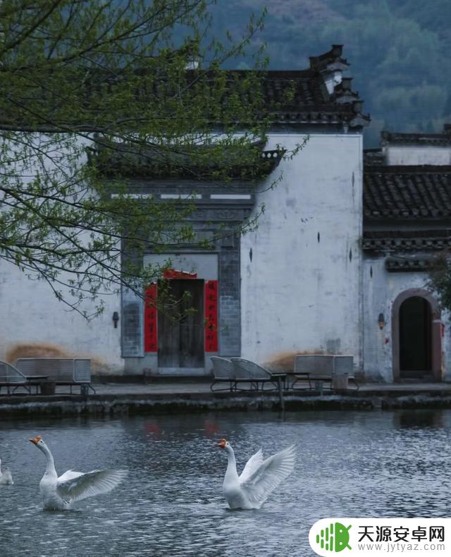 水墨世界中的一生迷茫,藏匿在呈坎之间