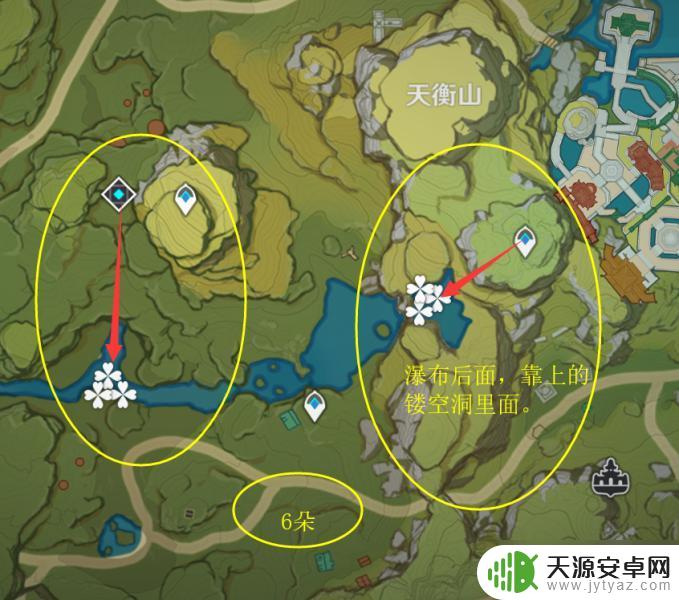 原神里的冰雾花 原神冰雾花花朵交易价格