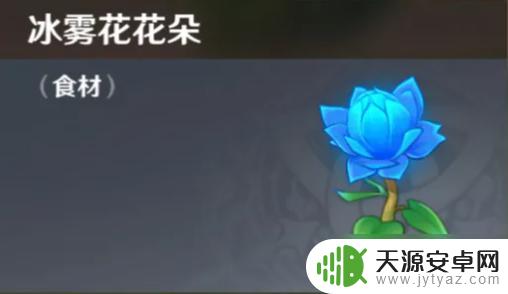 原神里的冰雾花 原神冰雾花花朵交易价格