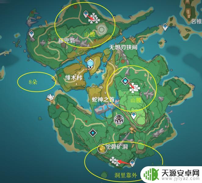 原神里的冰雾花 原神冰雾花花朵交易价格