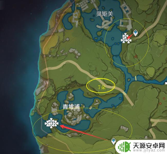 原神里的冰雾花 原神冰雾花花朵交易价格