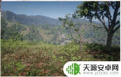 荒野大镖客2墓地位置 《荒野大镖客2》全墓碑地图位置详解
