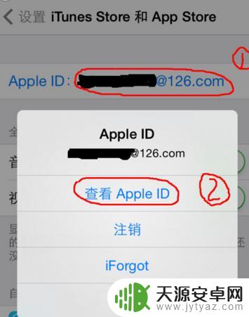 苹果手机怎么游戏汉化 苹果手机软件如何设置为中文