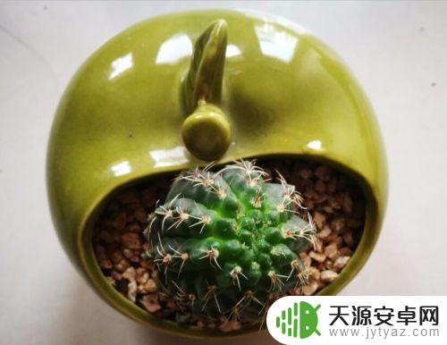 手机怎么矫正白平衡 手机白平衡如何设置