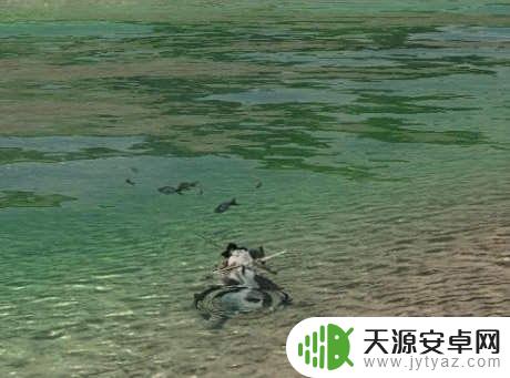 逆水寒鲤鱼双合汤怎么获得 逆水寒鲤鱼双合汤怎么获得