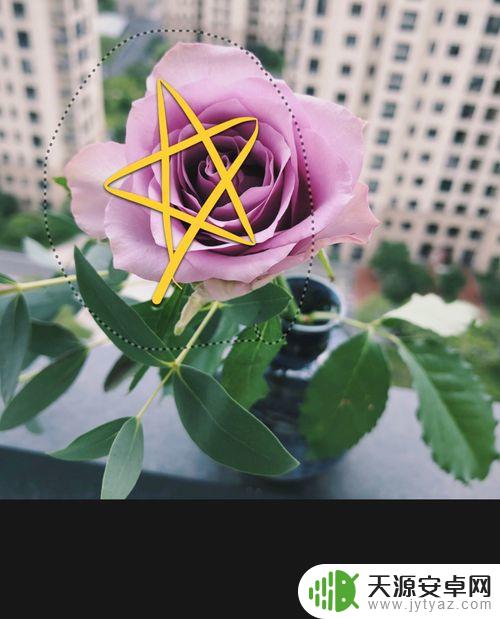怎么在手机照片上画圈 苹果手机照片如何画圈标记