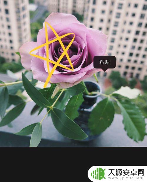 怎么在手机照片上画圈 苹果手机照片如何画圈标记