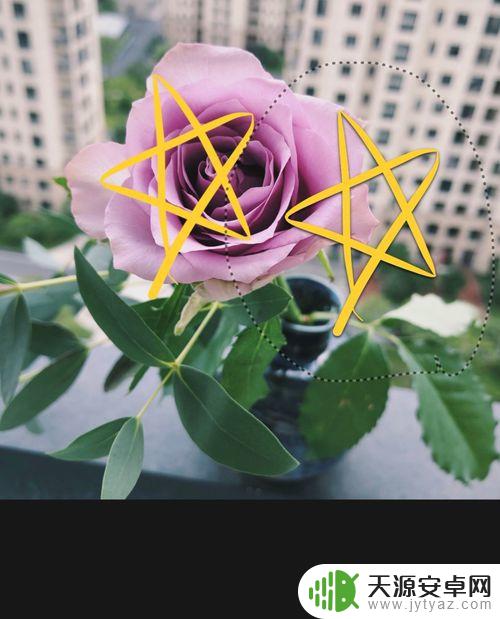 怎么在手机照片上画圈 苹果手机照片如何画圈标记
