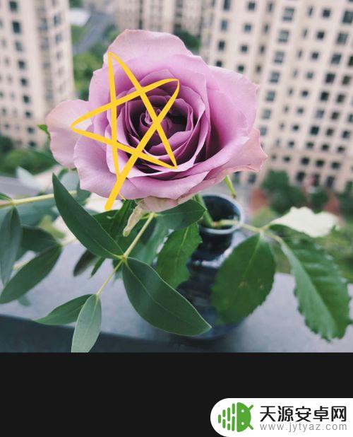 怎么在手机照片上画圈 苹果手机照片如何画圈标记