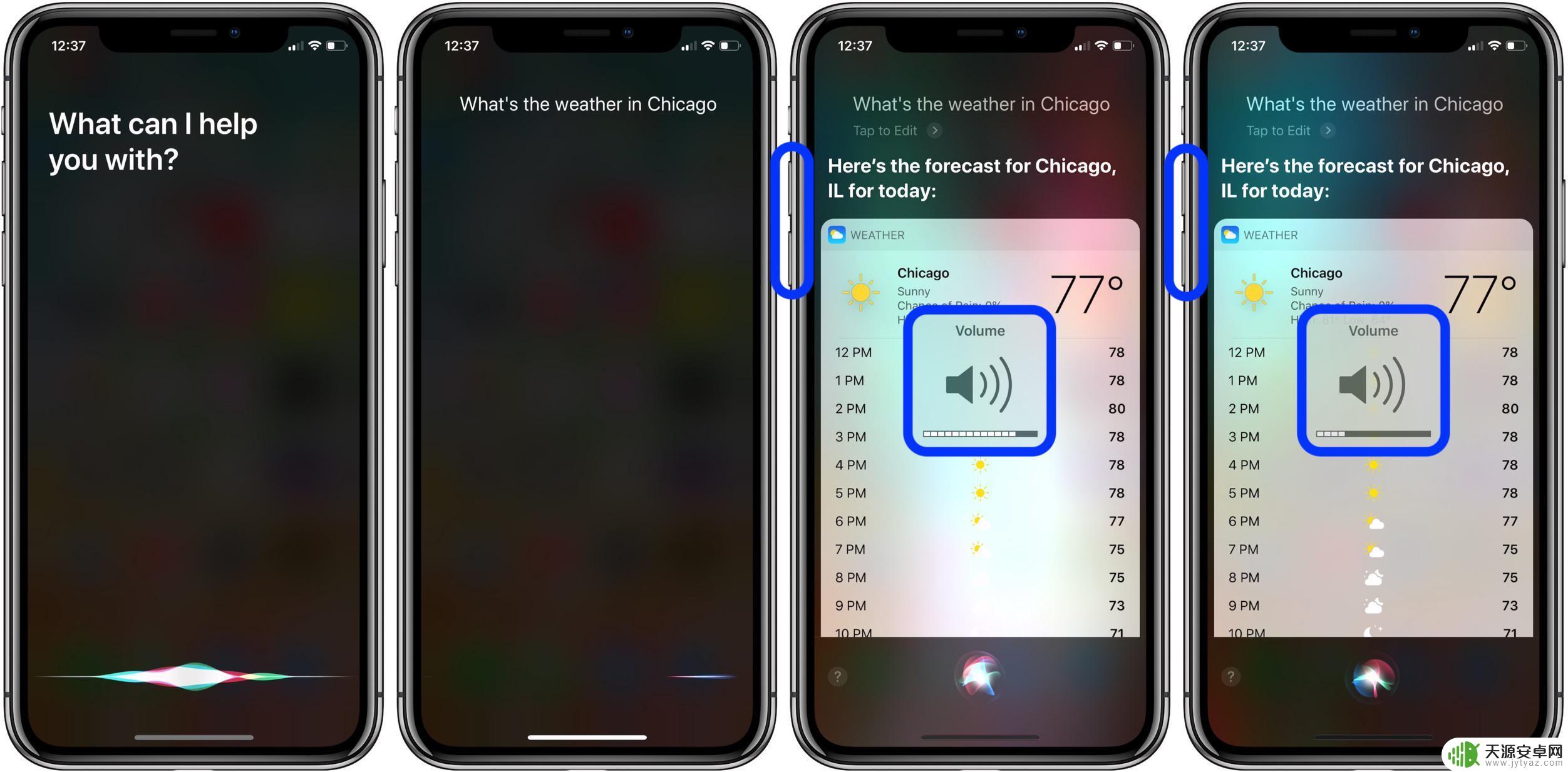 苹果手机siri回答声音小 iPhone 如何更改 Siri 语音音量